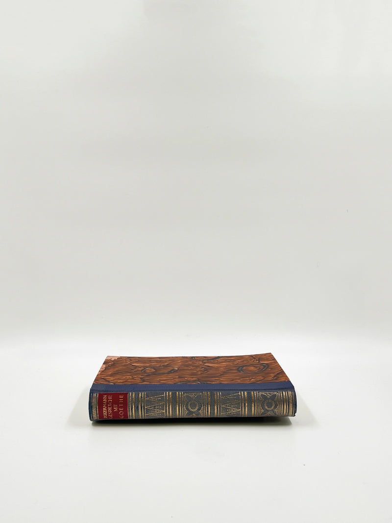 Gespräche mit Goethe